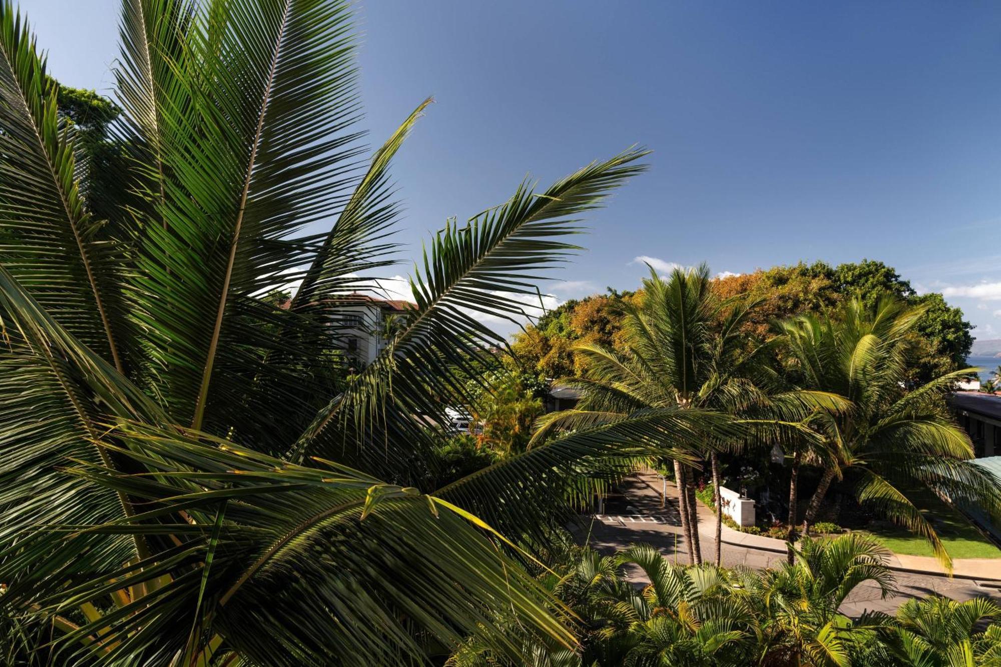 Wailea Beach Resort - Marriott, Maui Luaran gambar